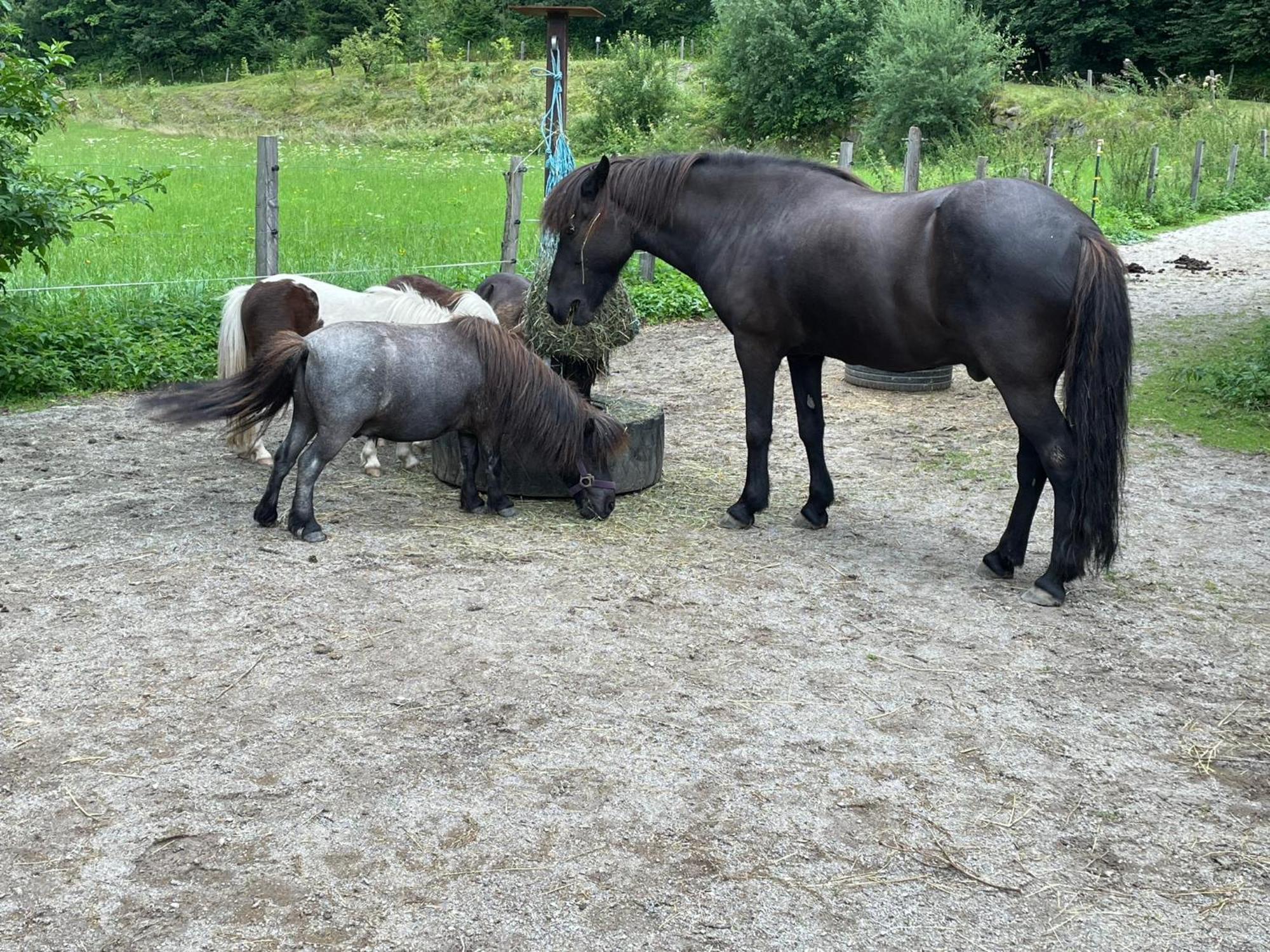 Appartamento Obermuehlhof Saalfelden Esterno foto