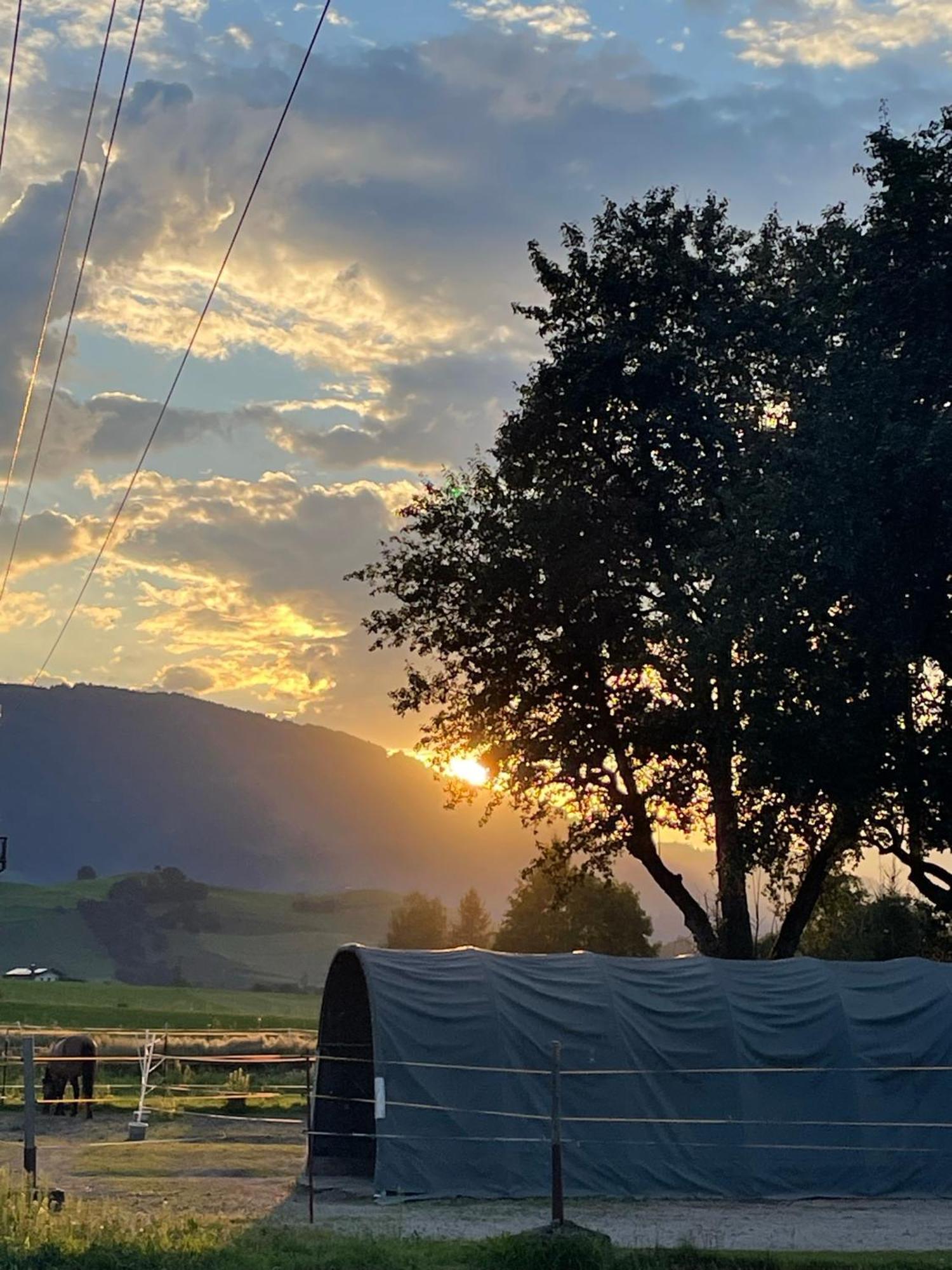 Appartamento Obermuehlhof Saalfelden Esterno foto