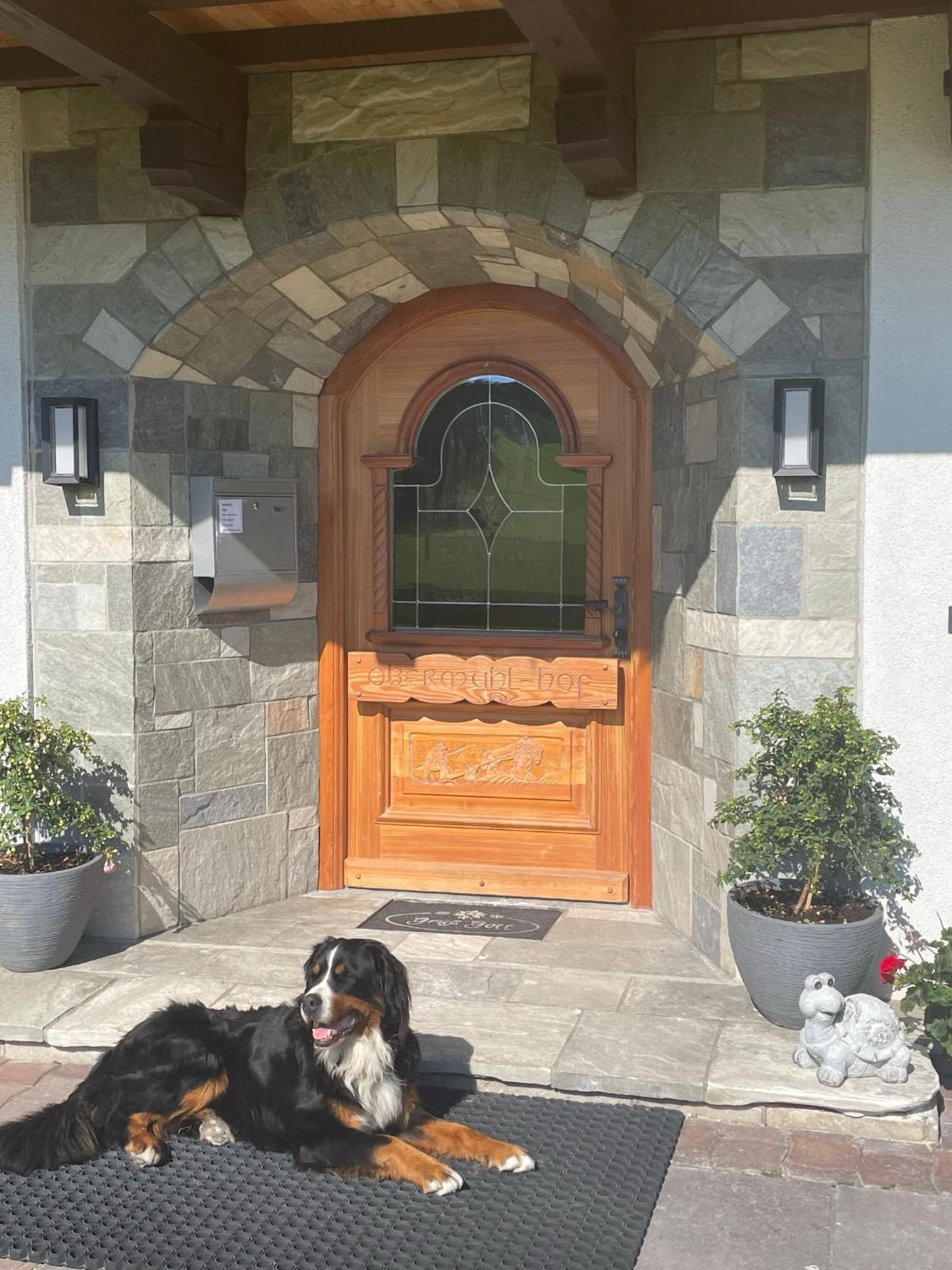 Appartamento Obermuehlhof Saalfelden Esterno foto